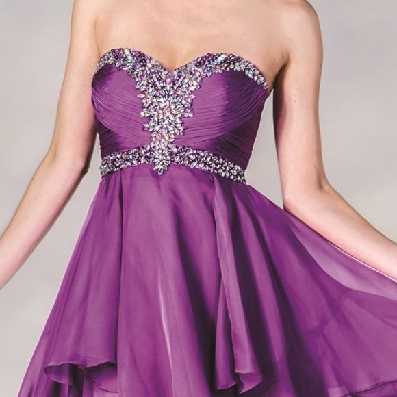 Cinderella Dresses & Skirts - Sweetheart Neck Strapless Short Prom Dress CDJC889